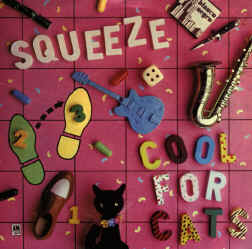 Squeeze Cool for cats